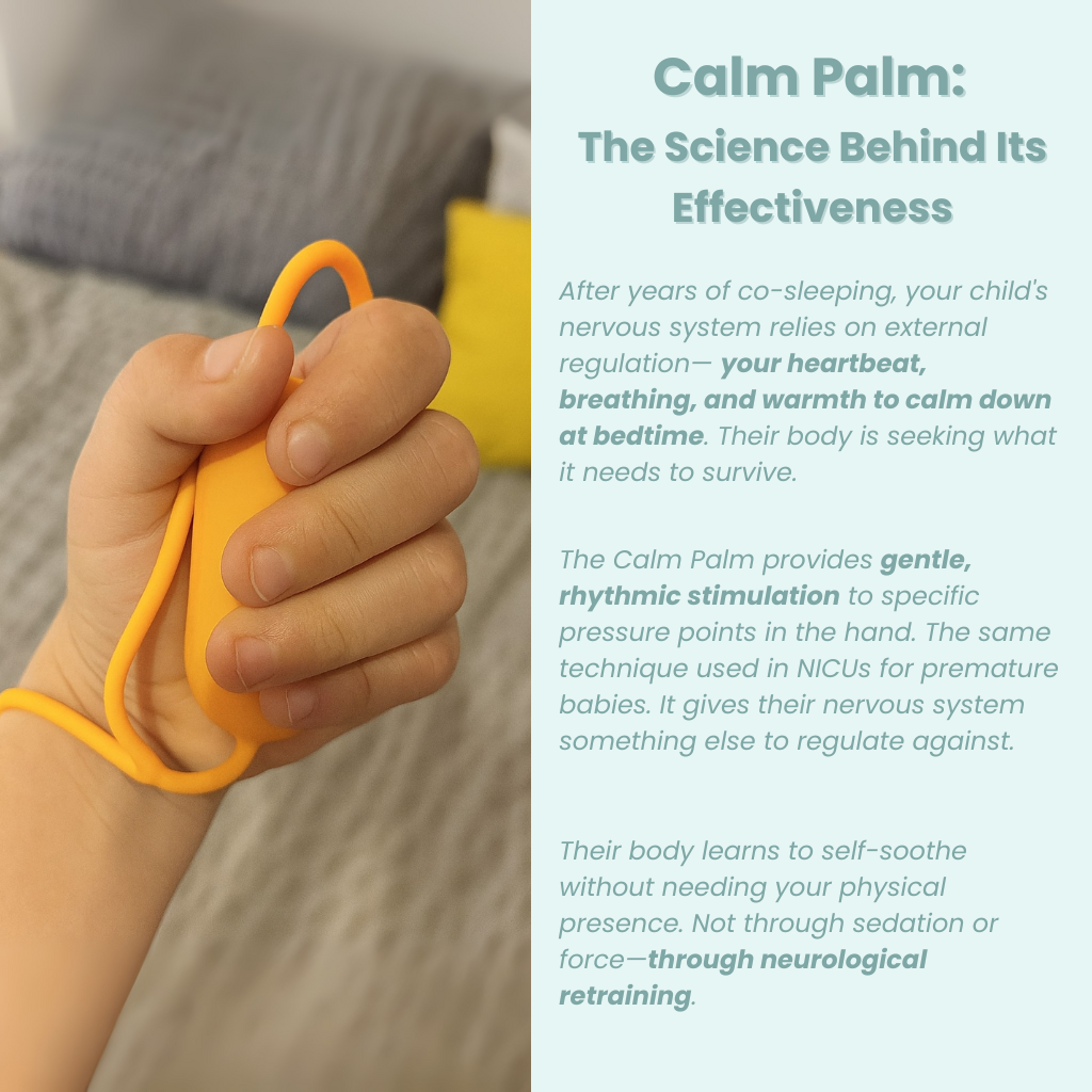The Calm Palm